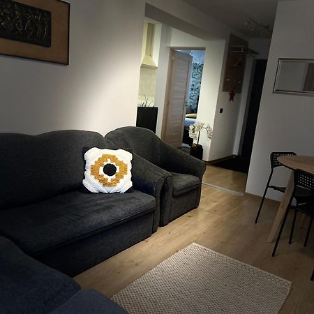 Roman Residence Apartment Borşa 外观 照片