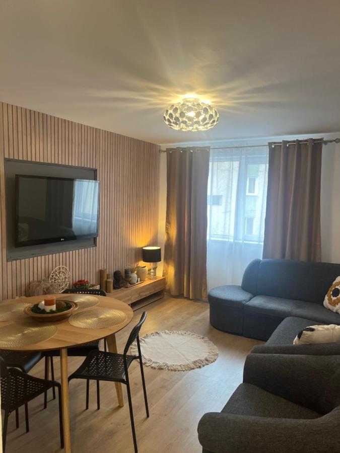 Roman Residence Apartment Borşa 外观 照片