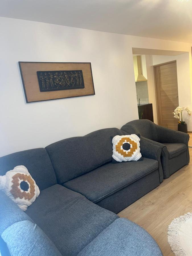 Roman Residence Apartment Borşa 外观 照片