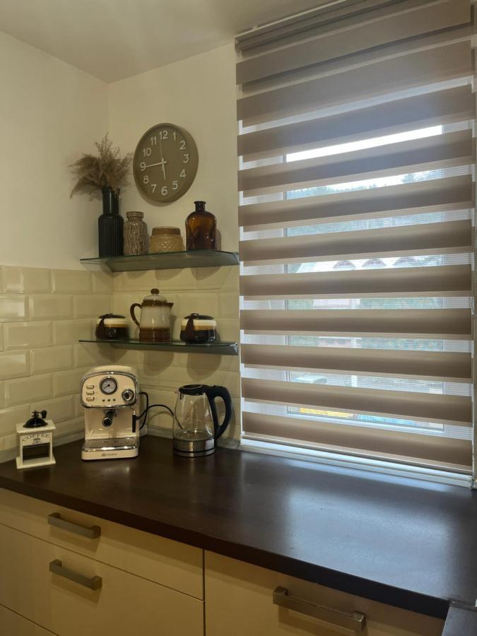 Roman Residence Apartment Borşa 外观 照片