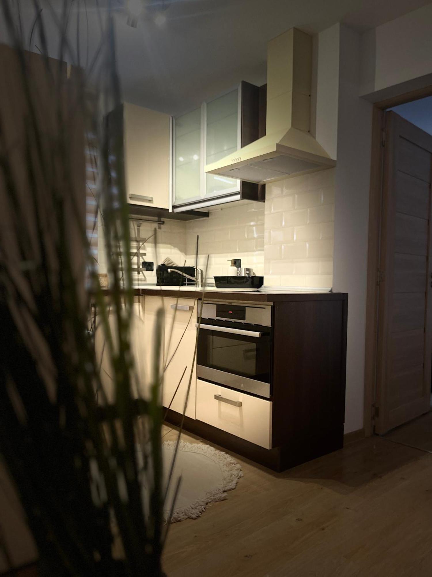 Roman Residence Apartment Borşa 外观 照片