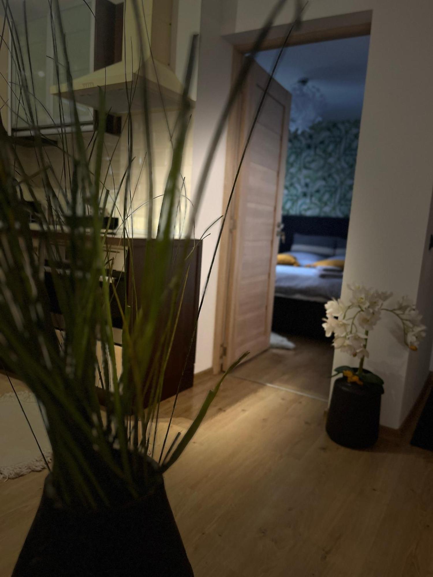 Roman Residence Apartment Borşa 外观 照片