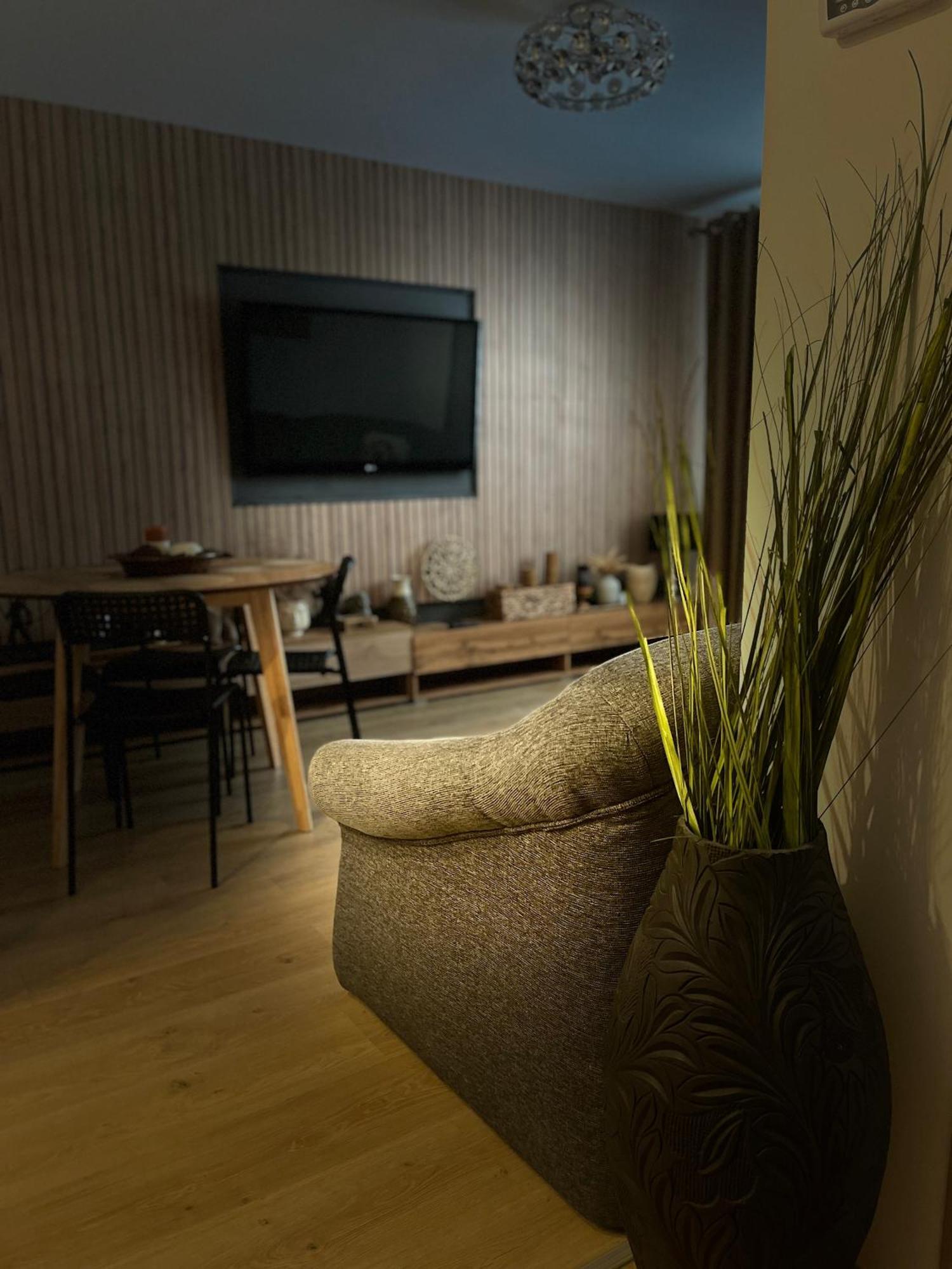 Roman Residence Apartment Borşa 外观 照片